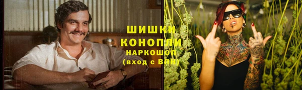 ГАЛЛЮЦИНОГЕННЫЕ ГРИБЫ Беломорск