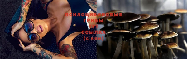 ПСИЛОЦИБИНОВЫЕ ГРИБЫ Белоозёрский