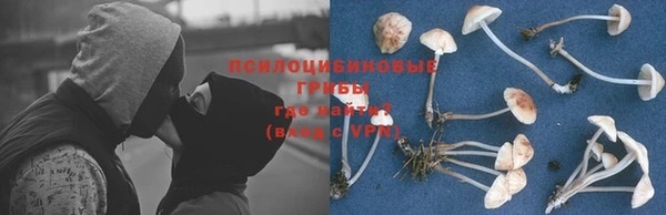 ГАЛЛЮЦИНОГЕННЫЕ ГРИБЫ Беломорск