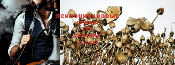 марки nbome Белокуриха