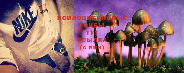 ГАЛЛЮЦИНОГЕННЫЕ ГРИБЫ Беломорск